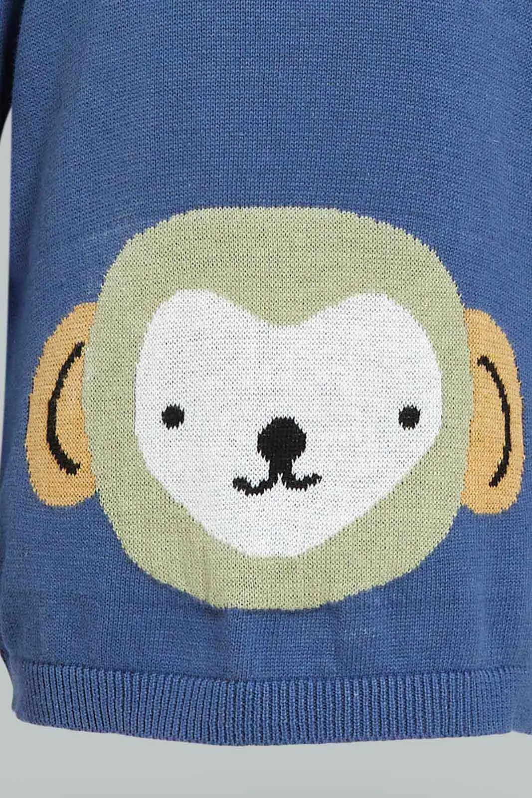 Boys Bule Monkey Pullover