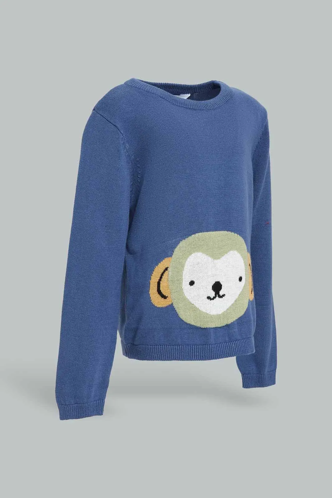 Boys Bule Monkey Pullover