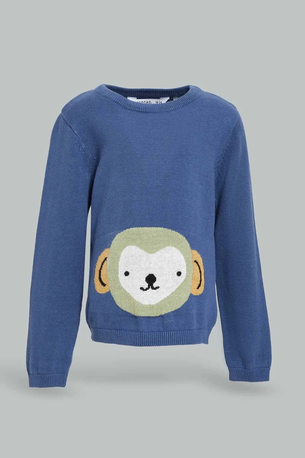 Boys Bule Monkey Pullover