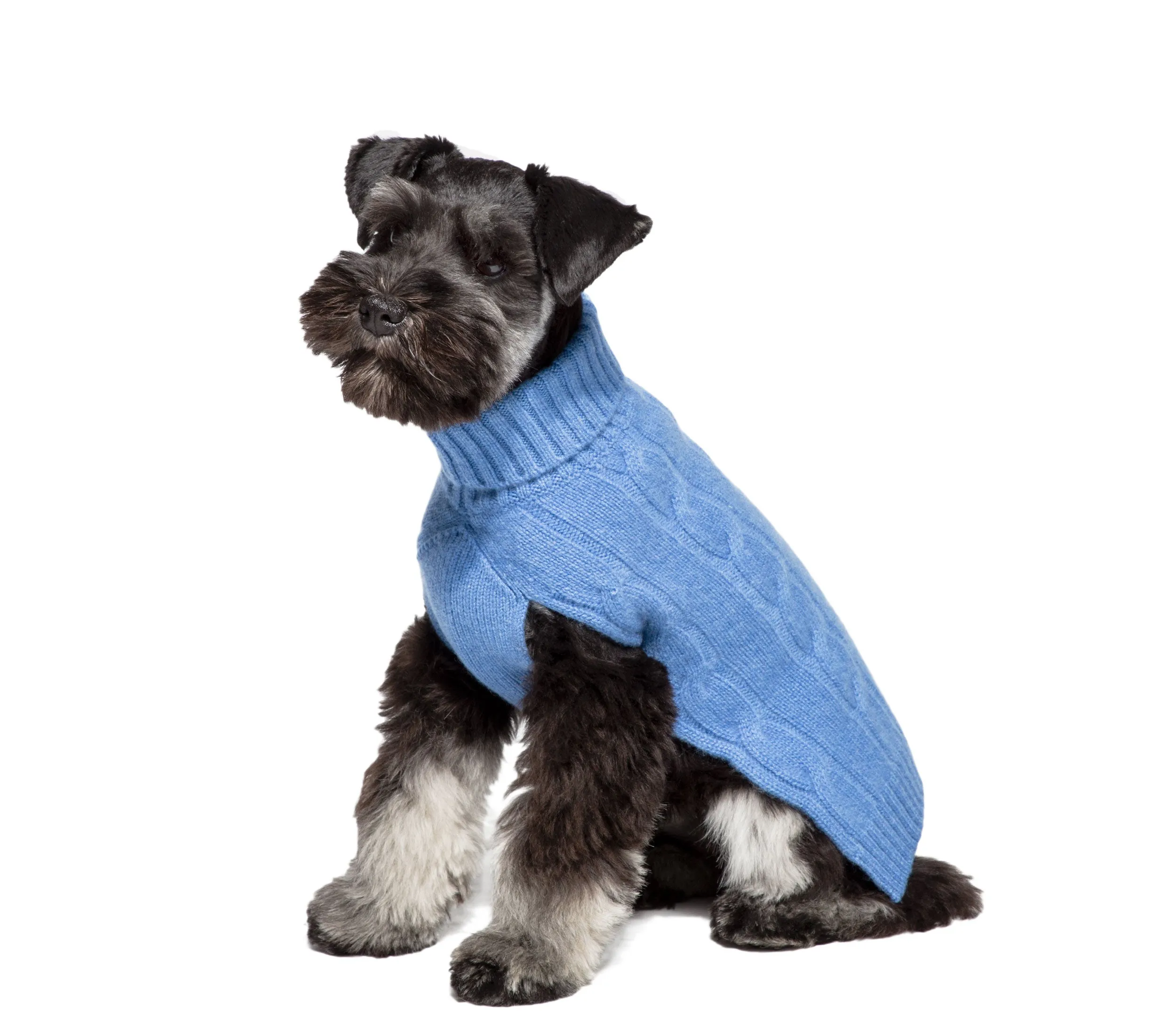 Cashmere Dog Solid Sweater - Canine Styles 4 Color Options