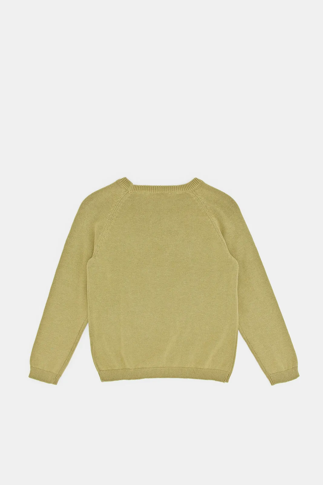 Infant Boys Green Plain Pullover