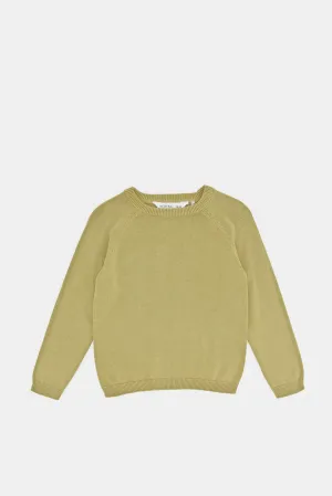 Infant Boys Green Plain Pullover