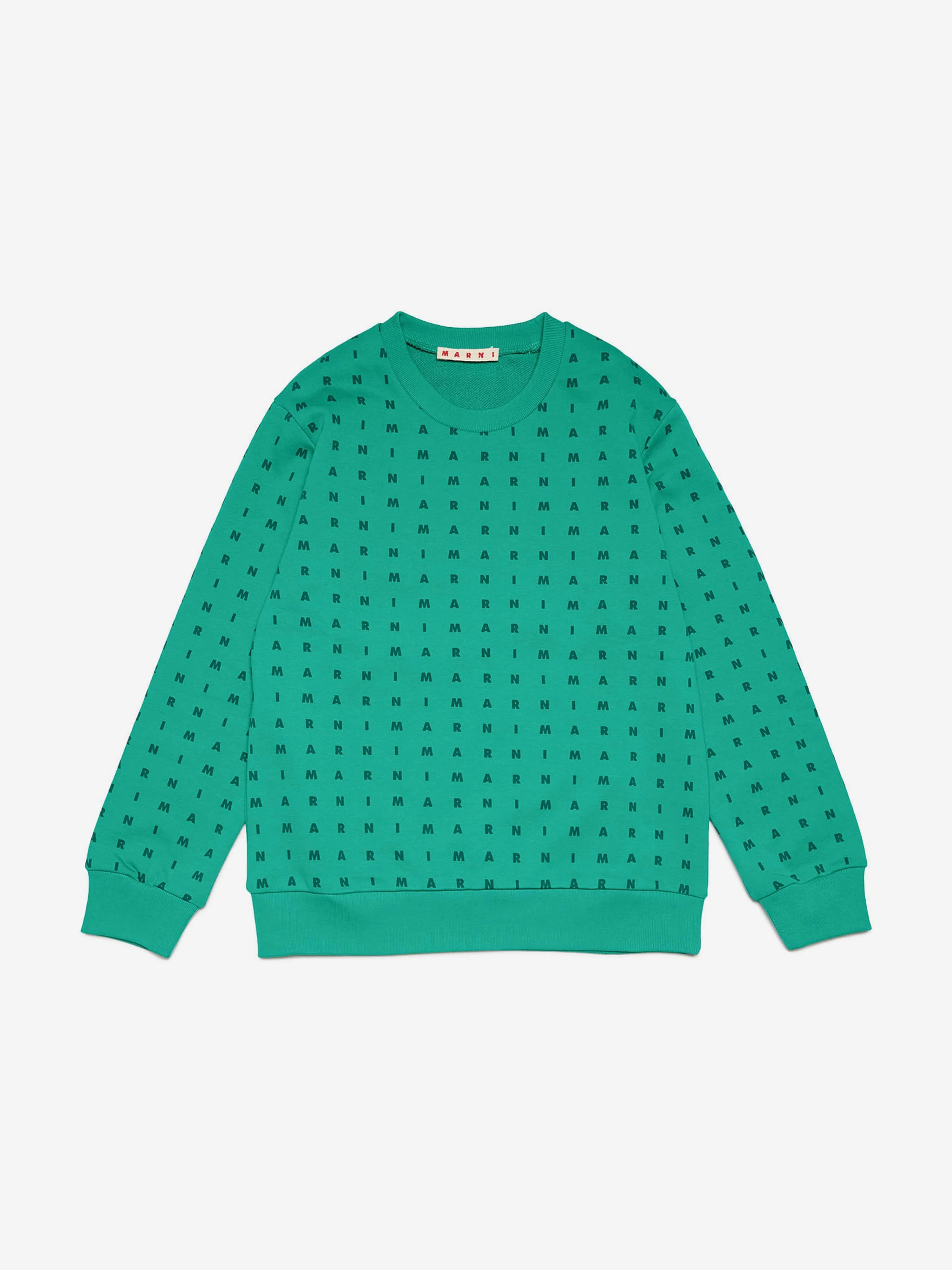 MARNI Kids Logo Sweatshirt in Green