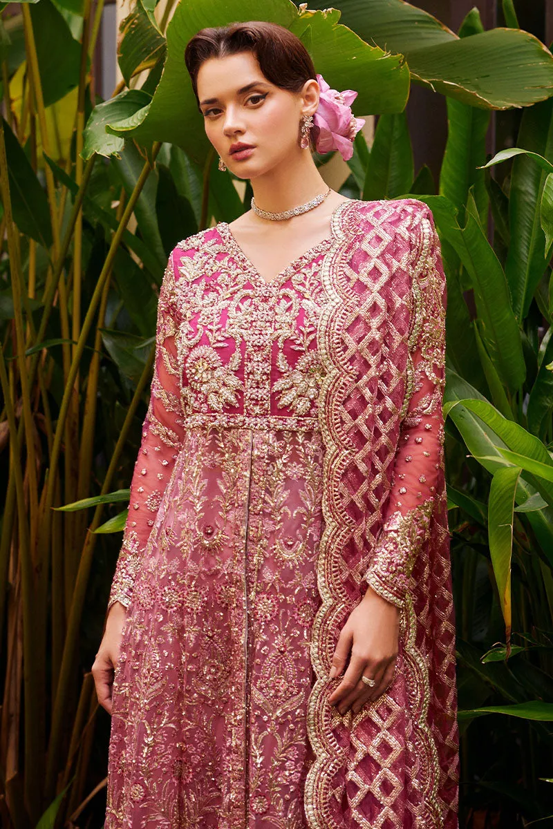 Mushq Stardust Luxury Wedding Formals – Cupid – MUNWD230207U