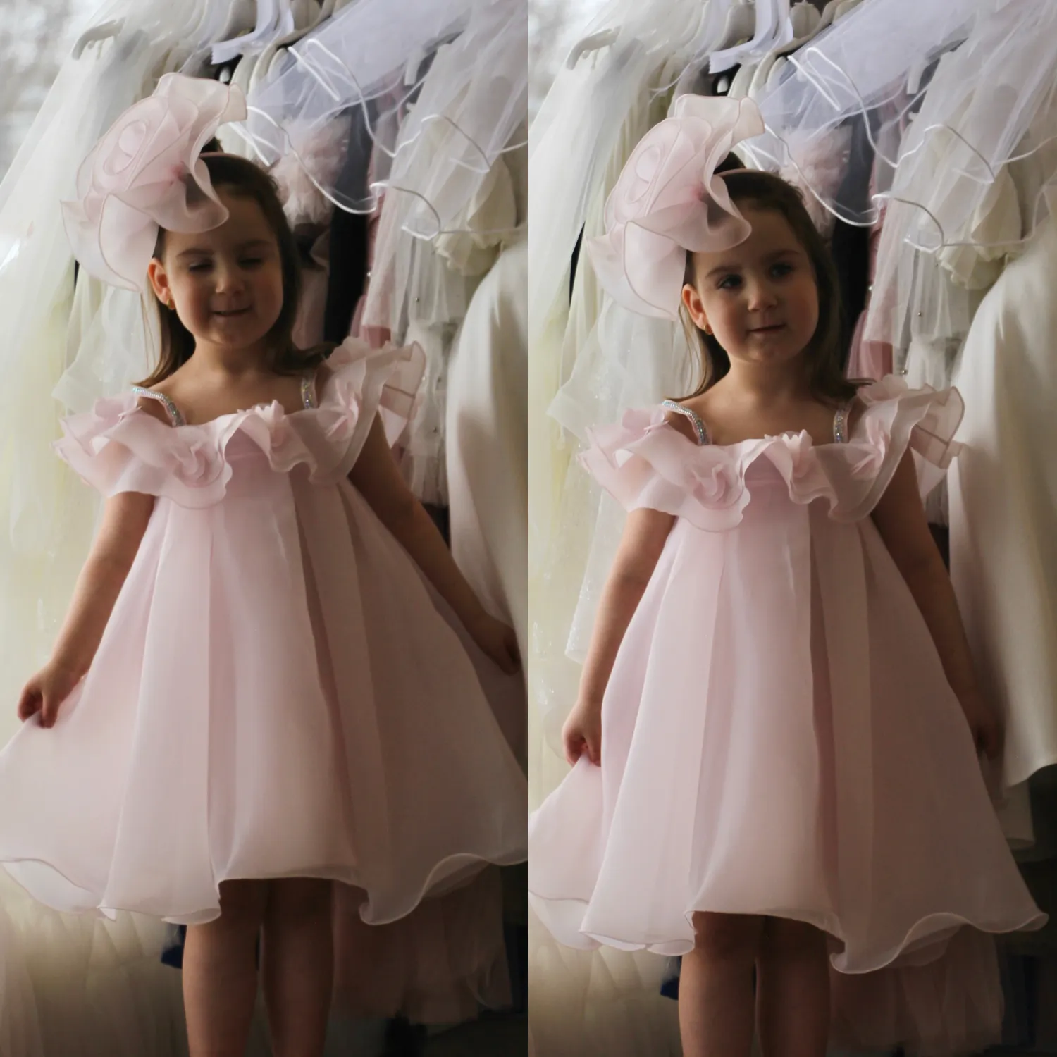 Organza Ophelia European Dress